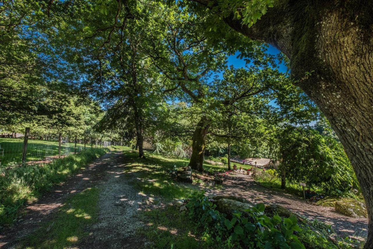 Domaine De Malouzies Hotel Fonties-Cabardès Buitenkant foto