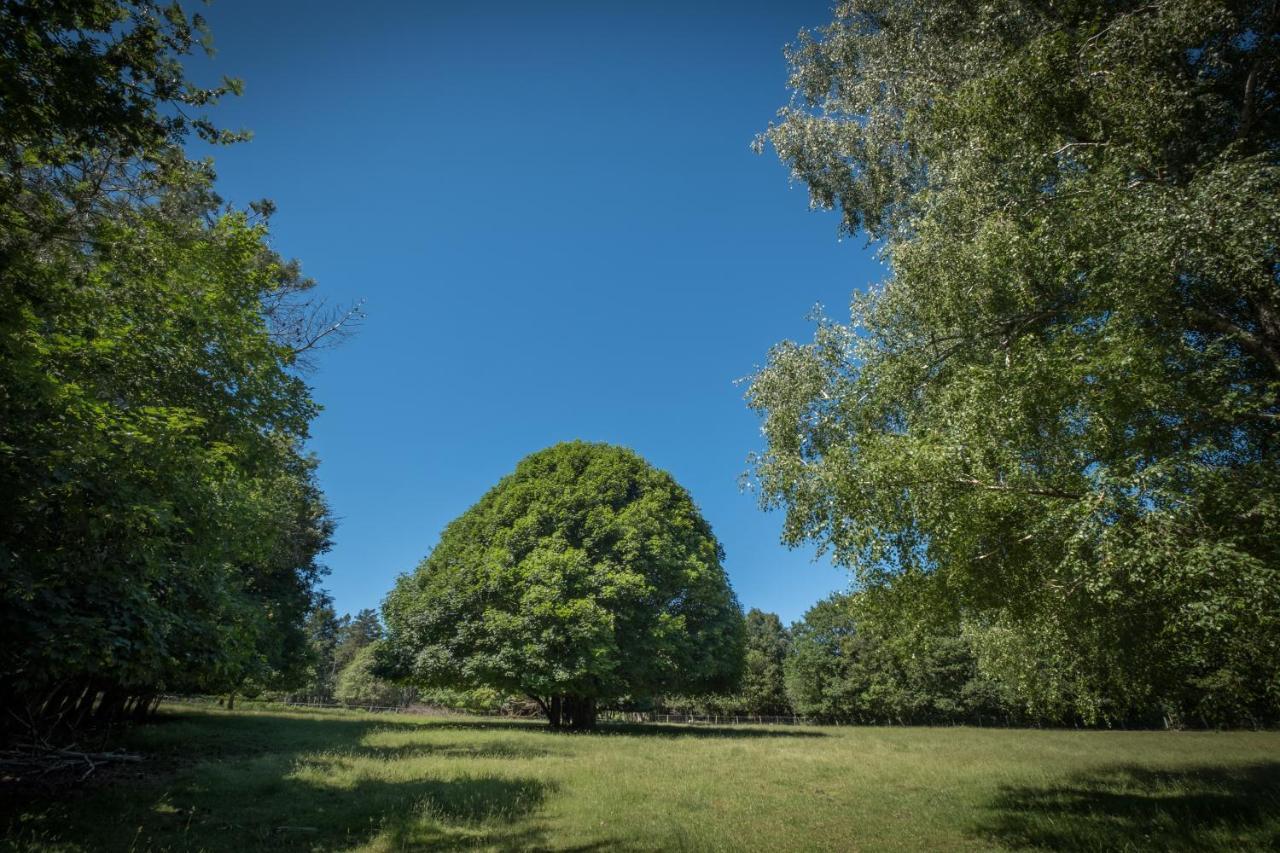 Domaine De Malouzies Hotel Fonties-Cabardès Buitenkant foto